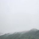 20260926#한절골오두막만행(920)[자연의 순리] 이미지