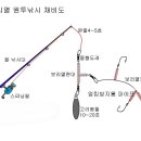 보리멸 원투 낚시 이미지