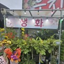 김해꽃식물원 | 김해내외동꽃집_우진꽃판매장에 방문후기