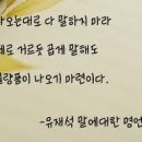 화랑 태권도 이미지