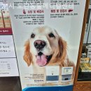 24시모란동물메디컬센터