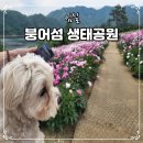 임실축협동물병원 | 전북 임실 옥정호 붕어섬 생태공원 입장료 맛집 애견동반 동물 등록 필수 여행