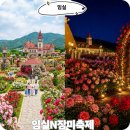 N파크 | 전북여행지추천 임실N장미축제 임실치즈테마파크