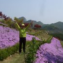 잔디공원 이미지
