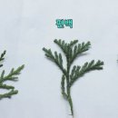 화백농장 이미지