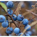 나이스과학 이미지