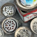 암남공원 | 먹포터NO.19 암남공원 희자매 조개구이 뿌시고 온 후기