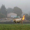 베스트편의점 이미지