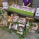 성식농장 이미지