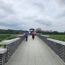 풀꽃세상채식뷔페 이미지