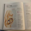 바른삼성약국 | 임신 27주차 증상 / 오름이 엄마 되는 과정 기록