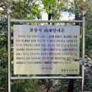 옛날옛족 이미지