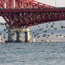 뚝섬한강공원-58 이미지