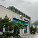 안반데기숙소 프롬도마 노네 촌캉스 바베큐그릴 솔직후기