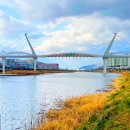 네오코아 이미지