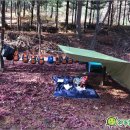 숲으로 가는 어린이집 이미지