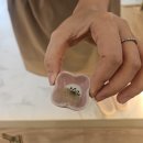 스페셜 바디 | 다산마사지 더하노이풋앤바디 아로마 스페셜케어 후기