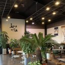 대미 | 충주 카페 대미 : 충주댐 드라이브길에 들린 대미 솔직후기 (수제차 강추, 플랜테리어, 넓은 주차장)