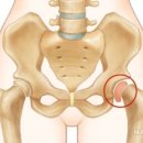 KY 휘트니스 이미지