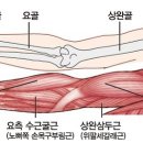 라인 벤치 이미지