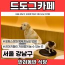 드도그카페 | [애견 동반 식당] 강남 삼성역 강아지카페 &#39;드도그카페&#39; 반려견공간