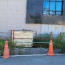 월미로1 이미지