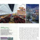 주천면 고촌마을 네이버블로그