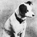 에디슨과학박물관 이미지