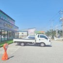 서부흑염소 이미지