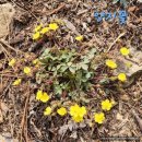 회곡1리(안골) 마을회관 | 경기둘레길24코스 화야산 솔고개 야생화 군락지