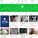 여섯번째 해피빈 기부! 포스팅 쓰고 미혼모가정 지원하기