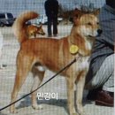 만강 - 서귀포시 | 만강