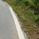 양평한울공인중개사사무소 이미지