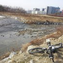 탄천변(탄천좌안) 이미지