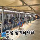 장계 | 안성 방갈로 하우스 빙어낚시 장계낚시터 후기