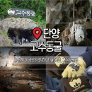 (주)자연의 신비 | 단양 비오는날 실내 가볼만한곳 고수동굴 주차 입장료 후기