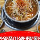 대가생태랑동태랑 이미지