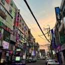 [창원 봉곡동 술집] 뱌오회 / 창원 고등어회 욕지도 제주도 갈 필요없는 신선한 맛