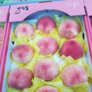 영덕블루팜