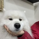 겨울이머무는집