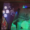 무지개 물고기 | 무지개물고기 뮤지컬 고양 후기｜아이 반응 중심 솔직리뷰