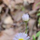 능성목장 이미지