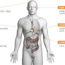 속발성 고혈압[secondary hypertension] 이미지