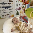 31140-6-67-14 | [ 장난감 _ 2M ] 소근육 발달 고리 장난감 &amp; 오볼 추천 : 핑거피싱 토이버클 , 핑거볼 후기