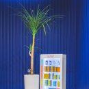 성재영이즈피부과의원 이미지