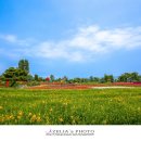 대산체육공원 이미지