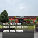상리소음방농장 | [제주도/서귀포] 제주 펜션 추천 | 한라봉 농장도 함께 즐기는 감성 숙소 '설문대 농장 펜션'