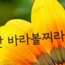 설날 찬양~다윗과 요나단의"주만 바라 볼찌라" 이미지