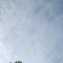 치악산둘레길 4코스 노구소길 이미지