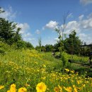 패랭이공원 이미지